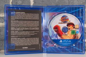 Street Fighter 30th Anniversary Collection - Edition Collector (12)